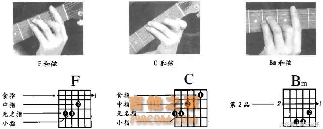 和弦图怎么看？这教得不能再仔细了！