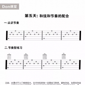 【DON自制】8天学吉他,初学入门吉他篇 第五天《和弦和节奏的配合》 ... ...