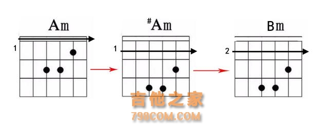 和弦那么多记不住怎么破？学会这招推导规律再多和弦也不怕！