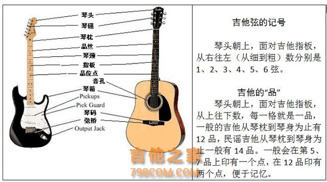 吉他新手不迷茫！零基础入门级干货分享，看完这篇就够了