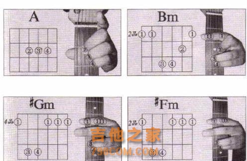 吉他入门知识，掌握这些知识，就可以自学吉他！