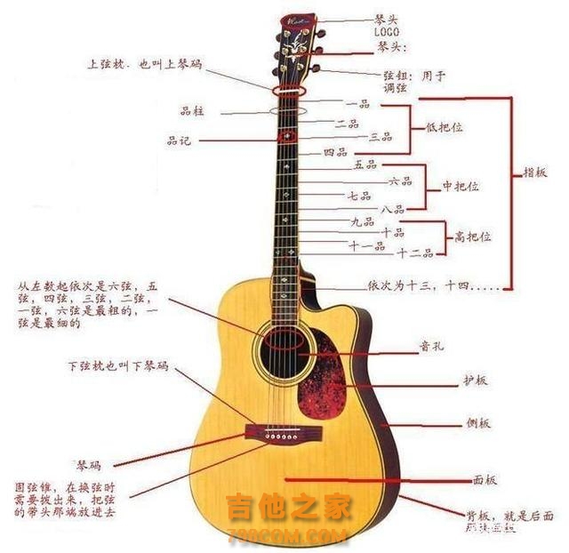 吉他入门知识，掌握这些知识，就可以自学吉他！