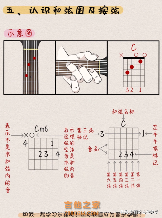 这篇文章，让你彻底了解怎么学习吉他。新手的福利来喽，接好！