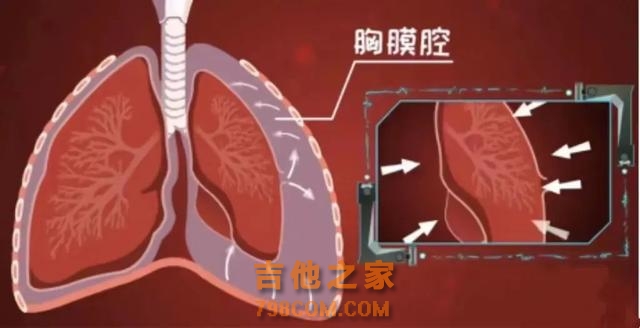 知名歌手时隔8年再回归！“消失这么久是因为生病”