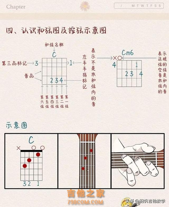 吉他教学：认识吉他,吉他零基础入门教学