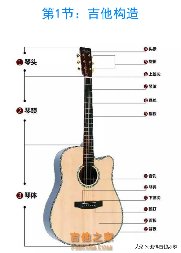 新手小白学吉他，这才是正确顺序，看这里！满满干货的分享