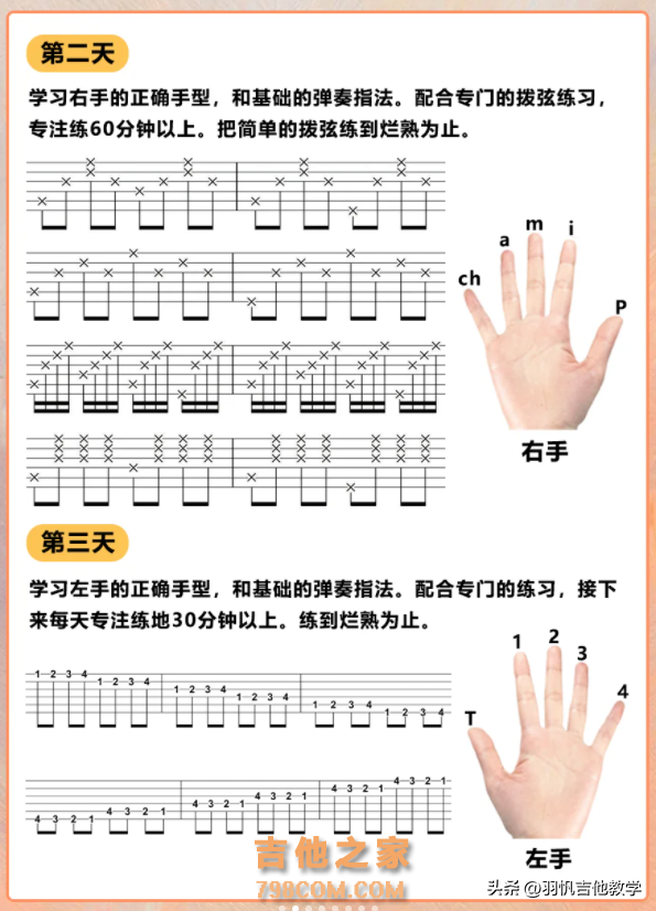 新手自学吉他！超详细的30天学琴计划！小白赶紧收藏吧