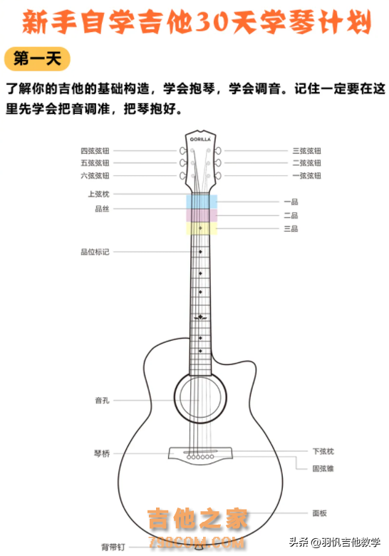 新手自学吉他！超详细的30天学琴计划！小白赶紧收藏吧