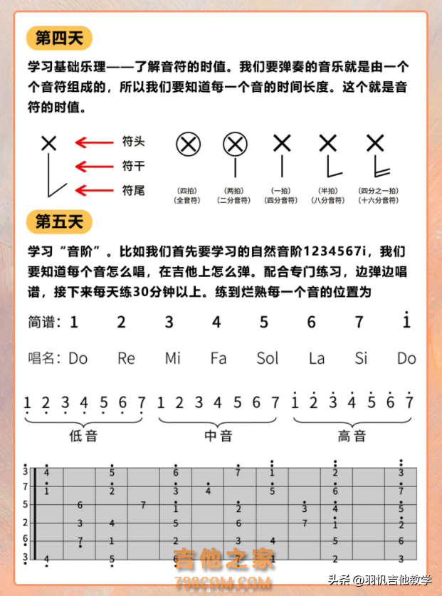 新手自学吉他！超详细的30天学琴计划！小白赶紧收藏吧