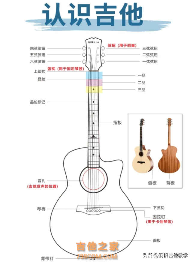 满满的干货，你学吉他的顺序，很有可能反了，24种爬格子方法！