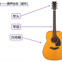 吉他零基础小白，三分钟全面了解吉他（一）