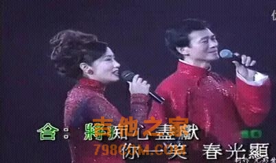 中国百大男歌手，层次划分