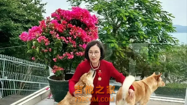 娱乐圈最大的笑话，一个连走路都费劲的歌手，77岁还开演唱会捞金