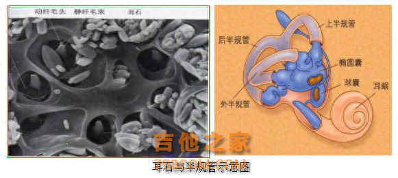 女歌手自曝患“不治之症”，已复发多次！医生提醒