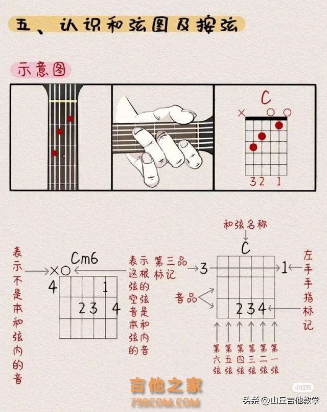 初学吉他小白怎么认识吉他谱？看完这篇文章，吉他谱应该能拿下了