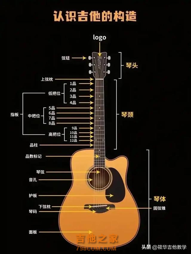 吉他新手入门从哪里开始？正确学琴方式告诉你了#零基础学吉他