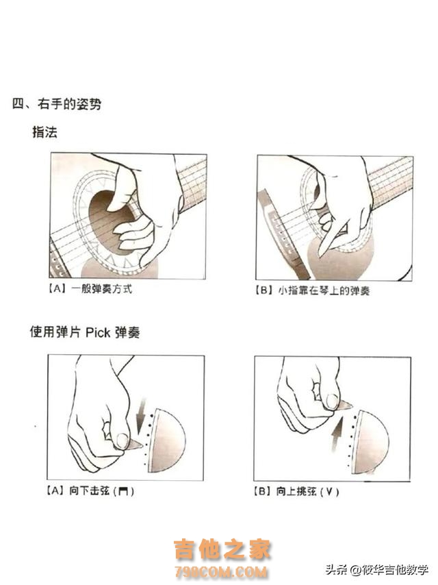 吉他新手入门从哪里开始？正确学琴方式告诉你了#零基础学吉他