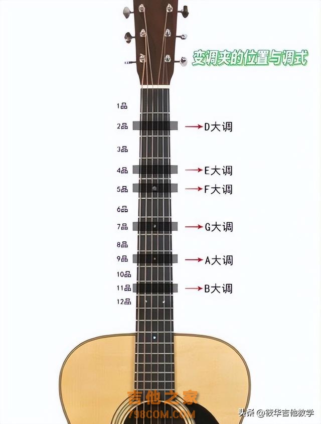 零基础怎么学会弹吉他，其实很简单，看完你就懂啦#吉他弹唱