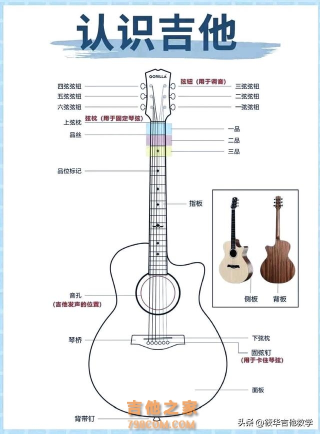 学吉顺序千万别搞反了，一定要先学右手基本功#吉他基本功 #吉他