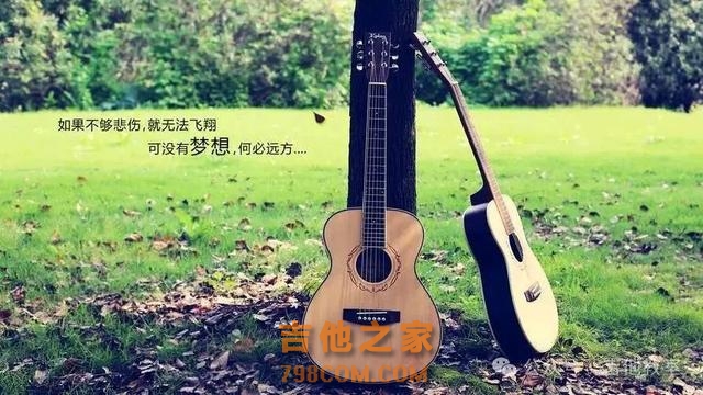 和弦简单又少的歌曲推荐（附吉他谱），适合刚入门的你!