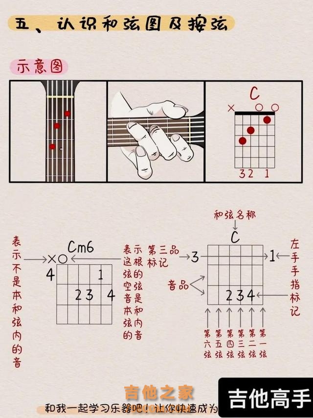 新手学吉他不知道练什么，就练这5大内容 #吉他 #初学者 #自学吉他