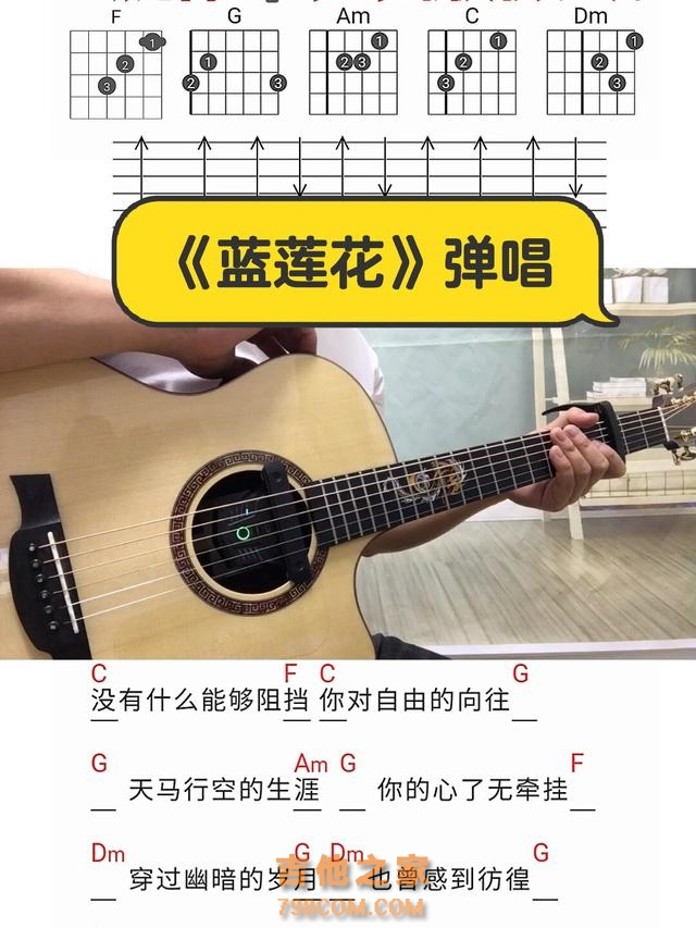 零基础也能轻松弹唱？《蓝莲花》吉他教学，你学的会吗？