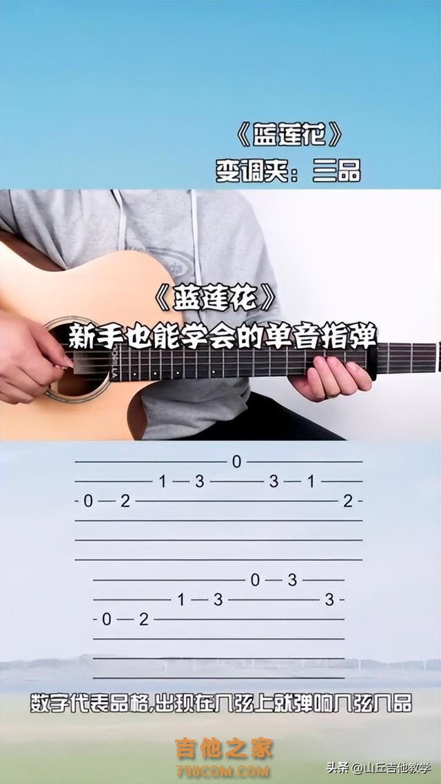 吉他小白，学会《蓝莲花》？学不会？你只需要这套弹唱技巧！