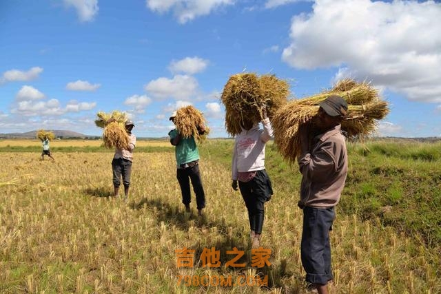 列国鉴·马达加斯加 | 记者观察：马达加斯加，可以不止是“动植物天堂”