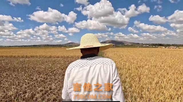 身负袁老嘱托，湖南大叔扎根非洲马达加斯加17年教当地人种水稻：产量翻了数倍