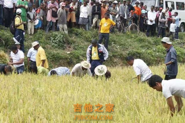 身负袁老嘱托，湖南大叔扎根非洲马达加斯加17年教当地人种水稻：产量翻了数倍